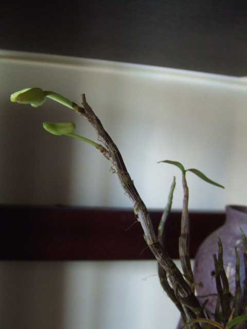 �|�c�`���I