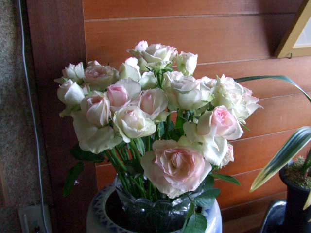 �܂��܂��@�炭���`�I