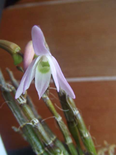 �|�c�`���I