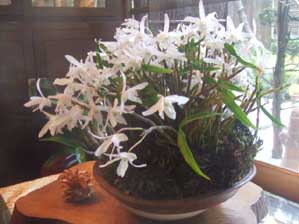 ��������I