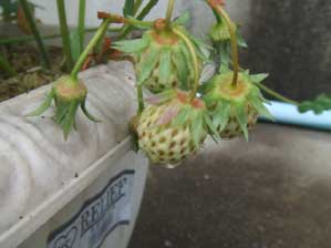 �������I