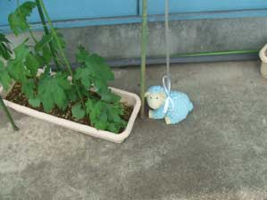 ���C�����������I�@�������茩����܂��I