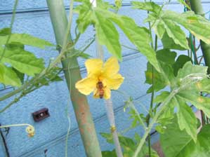 �������Ƃ������Ɓ@�����܂��傤�I