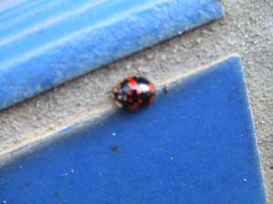 ��������Ⴂ�܂����`