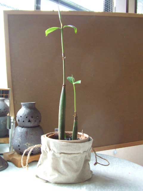 ���G���}�q���M�I