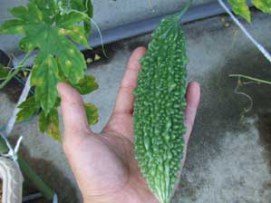 �����������n�I