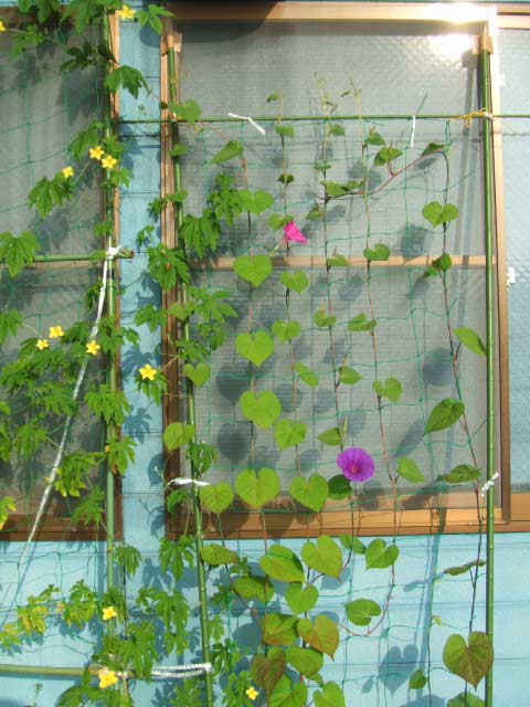 ���ꂩ��@�����炩�����`