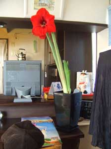 �A�}�����X�I