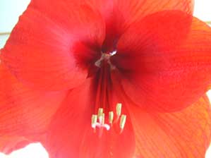 �A�}�����X