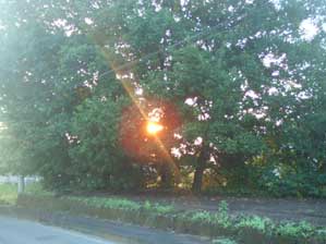 �؂̊Ԃ�����I