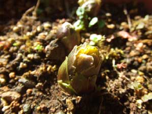 �������I