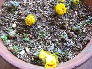 �������I