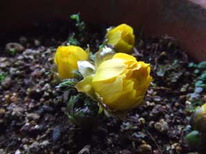 �������I