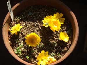 �������I