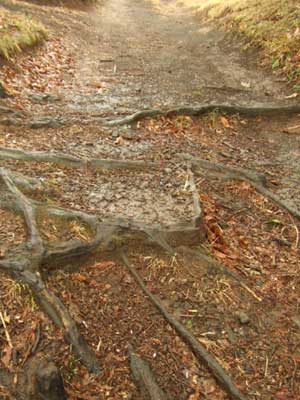 �������B�B�B