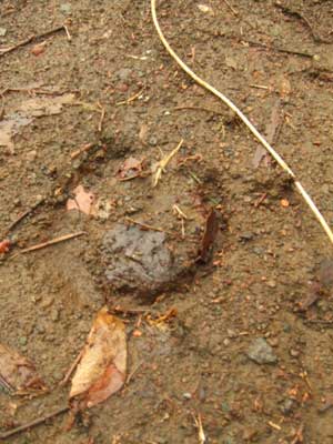 �q�q�`���B�B�B