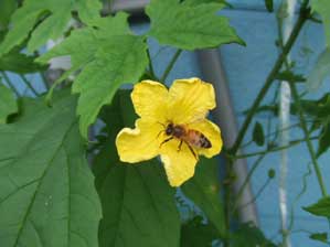 ���������`���I