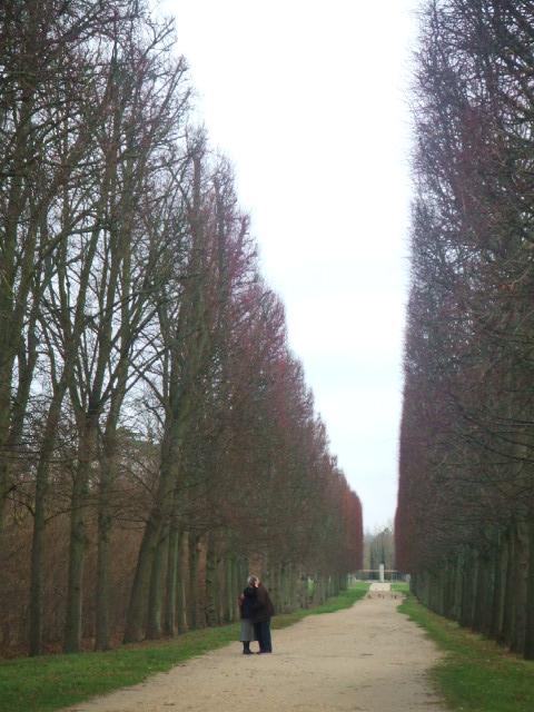 �t�����X�I