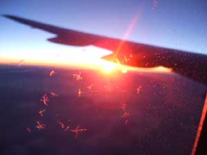 �t�����X�I