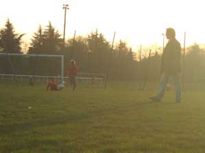 �t�����X�I