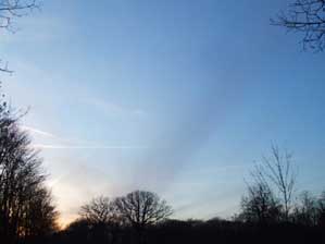 �t�����X�I