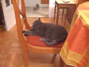 �t�����X�I