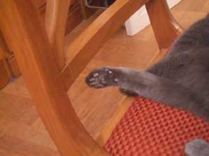 �t�����X�I