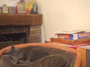 �t�����X�I