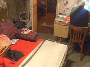 �t�����X�I