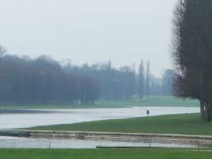 �t�����X�I