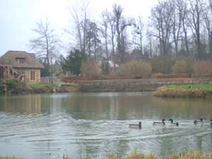 �t�����X�I