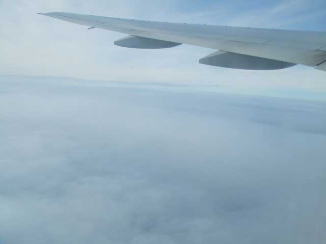 �t�����X�I