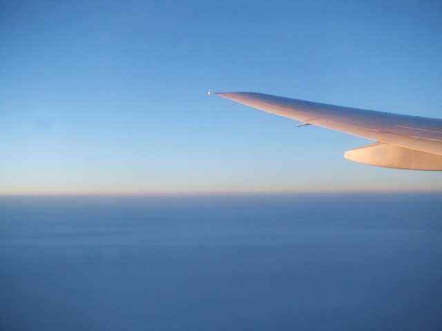 �t�����X�I