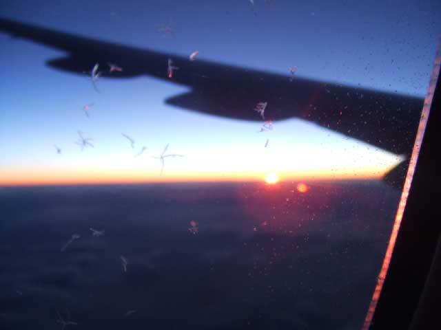 �t�����X�I