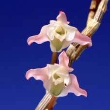 �|�c�`���I