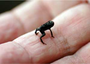 �q�L�K�G���I