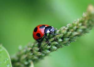 �Ă�Ƃ����I