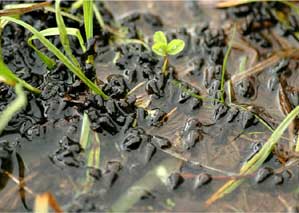 �E�W���@�E�W���@�E�W��