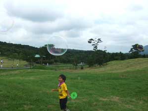 ����ڂ񂾂܁I