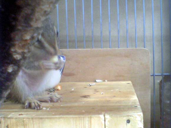 �|���|���@�E�}���ȁ`