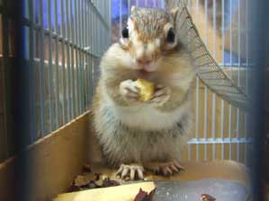 �E���I�@�ق�@�����@�����܂��I