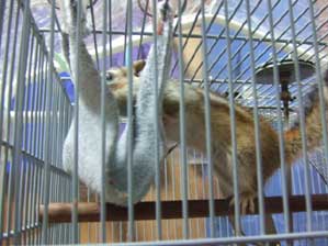 �����Ɂ@�S�}������̒m���Ă���񂾂�`