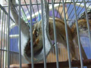 ���`��@���������I