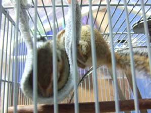 �������I�@�������Ⴆ�`�`�I