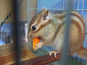 ����܂��@����������`�`