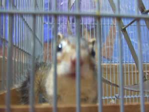 ���ŁI�@���ŁI�@���Ł`�I