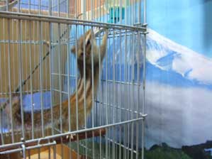 �x�m�R�`�`�I