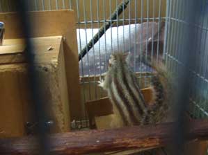 �ǂ��q�ɂ́@�v���[���g�������Ă��Ă���񂾂�ˁI