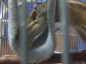 �{�����`�@�������`�@����������ǃT���^���񂠂肪�Ƃ��I�@