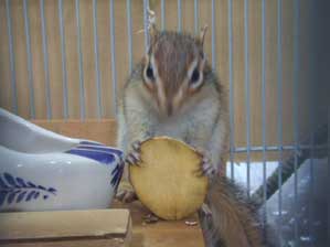 ����΂�܂���I